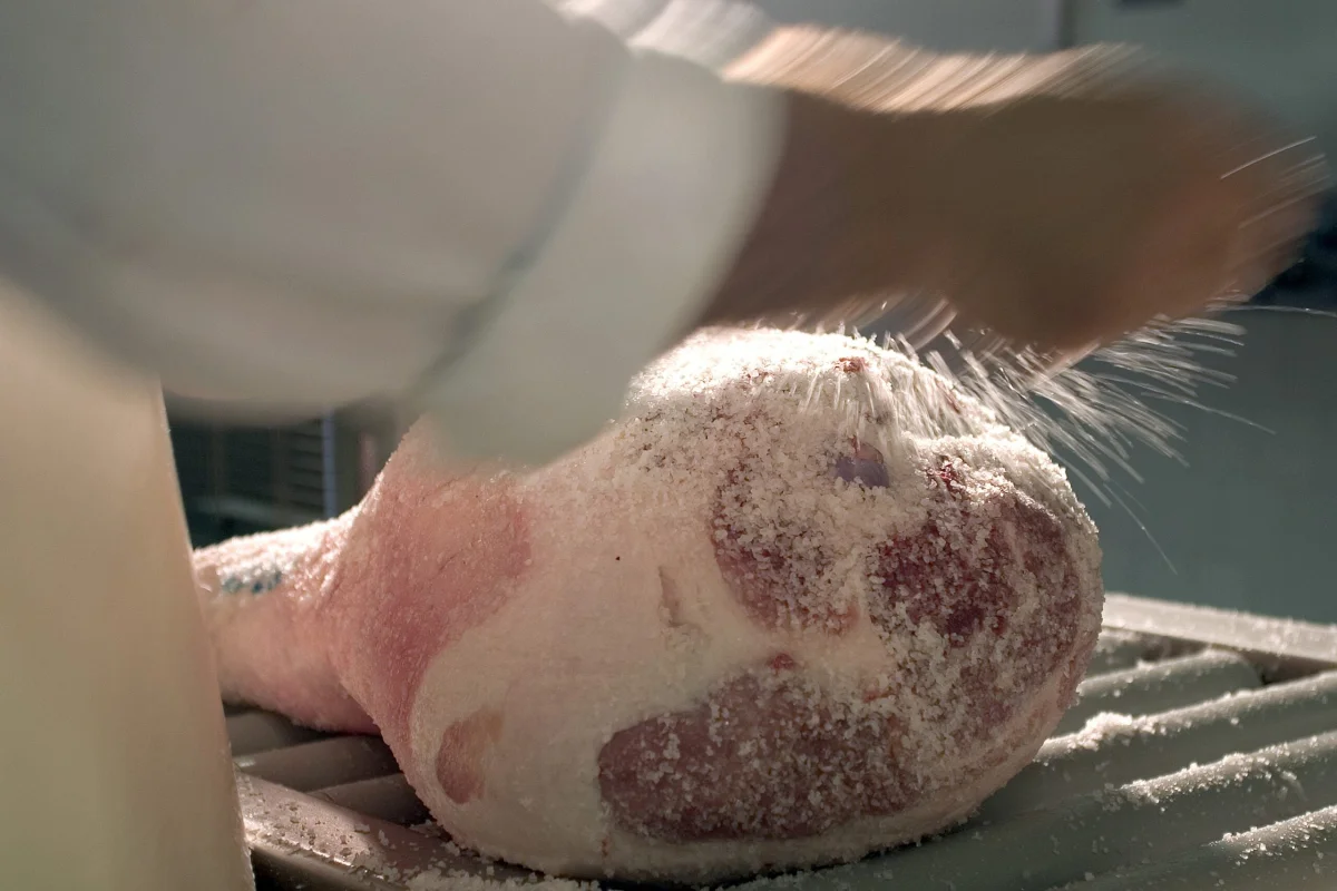 Prosciutto di Parma Salting