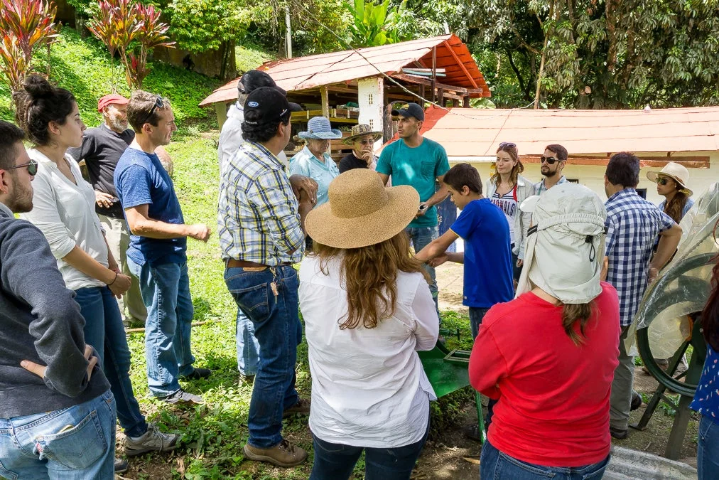 A group of people gathered together and chatting.