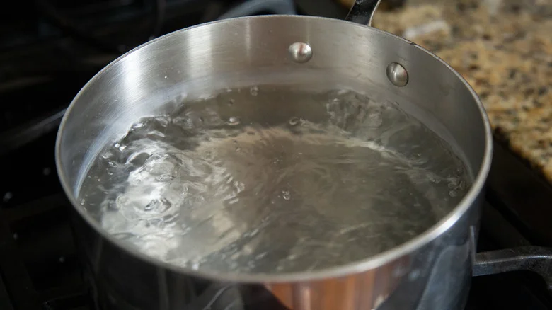 Water boiling in pot