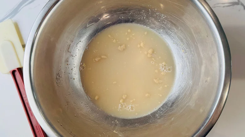Yeast and water in bowl