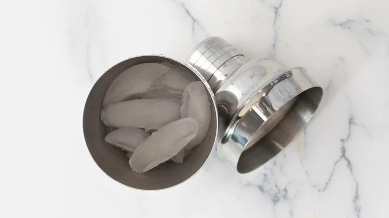 cocktail shaker with ice