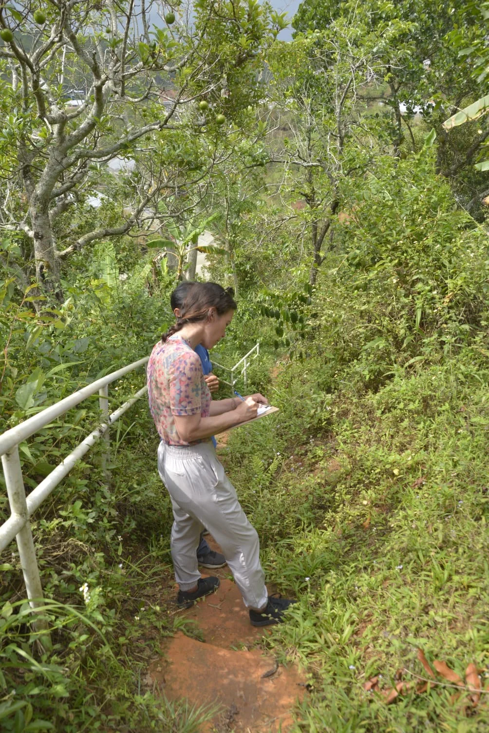 Esther Singer coffee field