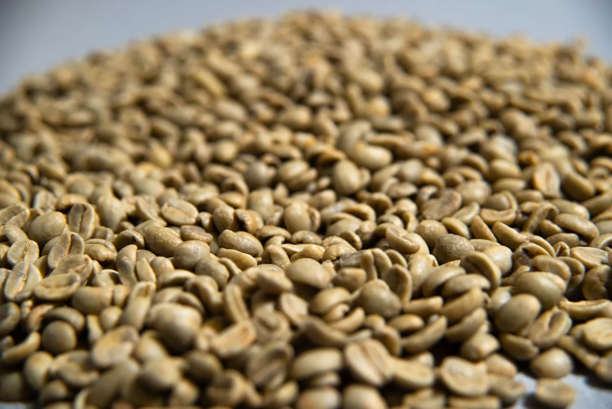 green coffee